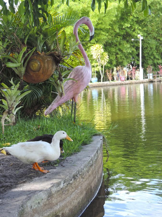 Pousada Paraiso Verde Conde (Paraiba) Bagian luar foto